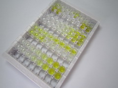 粘蛋白7(MUC7)检测试剂盒(酶联免疫吸附试验法)