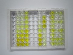 硒蛋白P1(SEPP1)检测试剂盒(酶联免疫吸附试验法)