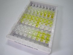 白介素6受体(IL6R)检测试剂盒(酶联免疫吸附试验法)