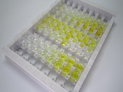 血管内皮生长因子受体1(VEGFR1)检测试剂盒(酶联免疫吸附试验法)
