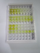 白介素2受体α(IL2Ra)检测试剂盒(酶联免疫吸附试验法)