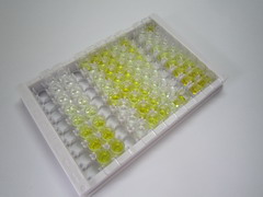 桩蛋白(PXN)检测试剂盒(酶联免疫吸附试验法)