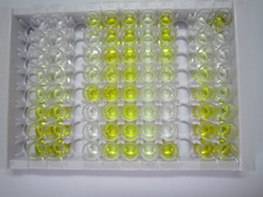 胎球蛋白B(FETUB)检测试剂盒(酶联免疫吸附试验法)