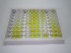 神经调节素1(NRG1)检测试剂盒(酶联免疫吸附试验法)