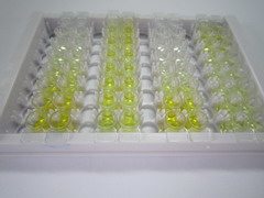 凝血因子Ⅶ(F7)檢測試劑盒(酶聯(lián)免疫吸附試驗法)