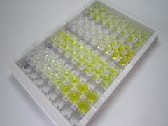 成纤维细胞生长因子10(FGF10)检测试剂盒(酶联免疫吸附试验法)