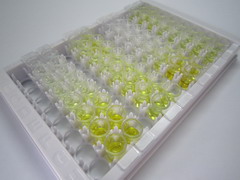 成纤维细胞生长因子10(FGF10)检测试剂盒(酶联免疫吸附试验法)