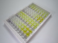 载脂蛋白B48(APOB48)检测试剂盒(酶联免疫吸附试验法)