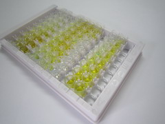 甲酰肽受體2(FPR2)檢測(cè)試劑盒(酶聯(lián)免疫吸附試驗(yàn)法)