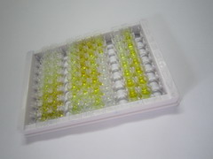 蛋白激酶Cα(PKCa)检测试剂盒(酶联免疫吸附试验法)