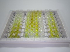 血管生成素样蛋白2(ANGPTL2)检测试剂盒(酶联免疫吸附试验法)