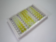 干扰素γ诱导单核因子(MIg)检测试剂盒(酶联免疫吸附试验法)