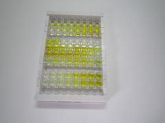 亮氨酸丰富α2-糖蛋白1(LRG1)检测试剂盒(酶联免疫吸附试验法)