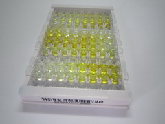 亮氨酸丰富α2-糖蛋白1(LRG1)检测试剂盒(酶联免疫吸附试验法)