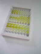 芳香胺-N-乙酰基转移酶(AANAT)检测试剂盒(酶联免疫吸附试验法)