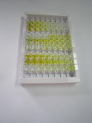 多配体蛋白聚糖4(SDC4)检测试剂盒(酶联免疫吸附试验法)
