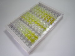 转化生长因子β3(TGFb3)检测试剂盒(酶联免疫吸附试验法)