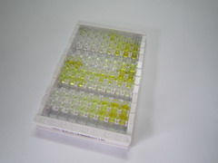 CD34分子(CD34)檢測試劑盒(酶聯免疫吸附試驗法)