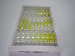 CD34分子(CD34)檢測試劑盒(酶聯(lián)免疫吸附試驗法)