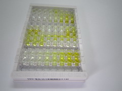 超氧化物歧化酶1(SOD1)检测试剂盒(酶联免疫吸附试验法)