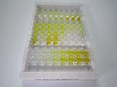 载脂蛋白A4(APOA4)检测试剂盒(酶联免疫吸附试验法)