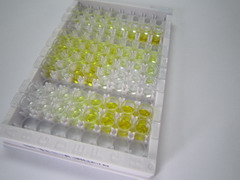 载脂蛋白A4(APOA4)检测试剂盒(酶联免疫吸附试验法)