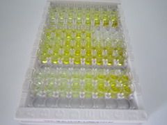 肌腱蛋白C(TNC)检测试剂盒(酶联免疫吸附试验法)