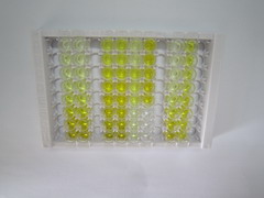 脂肪酸结合蛋白5(FABP5)检测试剂盒(酶联免疫吸附试验法)