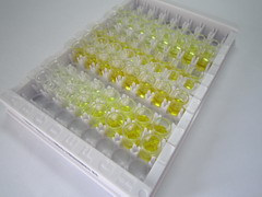 载脂蛋白A5(APOA5)检测试剂盒(酶联免疫吸附试验法)