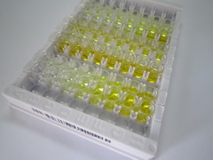 载脂蛋白A5(APOA5)检测试剂盒(酶联免疫吸附试验法)
