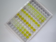 肝肠钙黏蛋白(CDH17)检测试剂盒(酶联免疫吸附试验法)