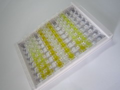 载脂蛋白B(APOB)检测试剂盒(酶联免疫吸附试验法)