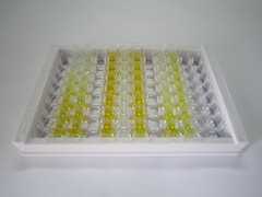 白介素35(IL35)检测试剂盒(酶联免疫吸附试验法)