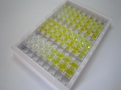 细胞色素P450 17A1(CYP17A1)检测试剂盒(酶联免疫吸附试验法)