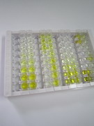 S100钙结合蛋白A4(S100A4)检测试剂盒(酶联免疫吸附试验法)