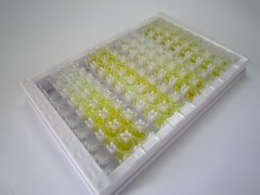 白介素28B(IL28B)检测试剂盒(酶联免疫吸附试验法)