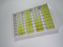 过氧化物酶体增殖物激活受体δ(PPARd)检测试剂盒(酶联免疫吸附试验法)