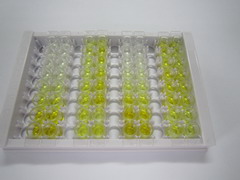法尼酯X受体(FXR)检测试剂盒(酶联免疫吸附试验法)