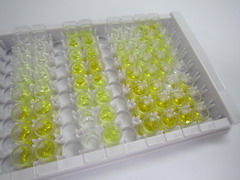S100钙结合蛋白A10(S100A10)检测试剂盒(酶联免疫吸附试验法)