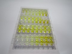 VEGF共调节趋化因子1(VCC1)检测试剂盒(酶联免疫吸附试验法)