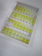 巨噬细胞炎性蛋白4α(MIP4a)检测试剂盒(酶联免疫吸附试验法)