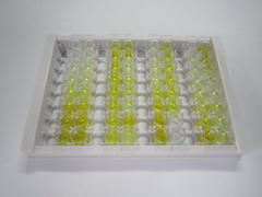 骨成型蛋白10(BMP10)檢測試劑盒(酶聯(lián)免疫吸附試驗(yàn)法)