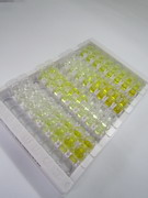 骨成型蛋白10(BMP10)检测试剂盒(酶联免疫吸附试验法)