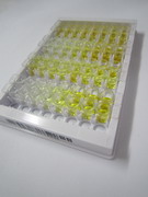 生长分化因子1(GDF1)检测试剂盒(酶联免疫吸附试验法)