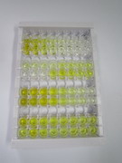 生長(zhǎng)分化因子11(GDF11)檢測(cè)試劑盒(酶聯(lián)免疫吸附試驗(yàn)法)
