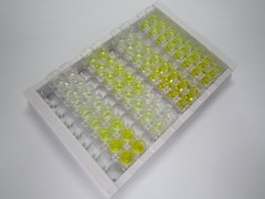 Smad同源物2(Smad2)检测试剂盒(酶联免疫吸附试验法)