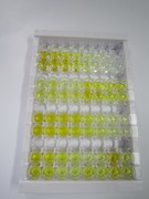 Ⅵ型胶原α3(COL6a3)检测试剂盒(酶联免疫吸附试验法)