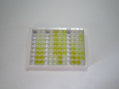组蛋白脱乙酰基酶1(HDAC1)检测试剂盒(酶联免疫吸附试验法)