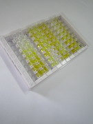 博來霉素水解酶(BLMH)檢測試劑盒(酶聯(lián)免疫吸附試驗(yàn)法)