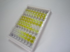 抑丝蛋白1(PFN1)检测试剂盒(酶联免疫吸附试验法)